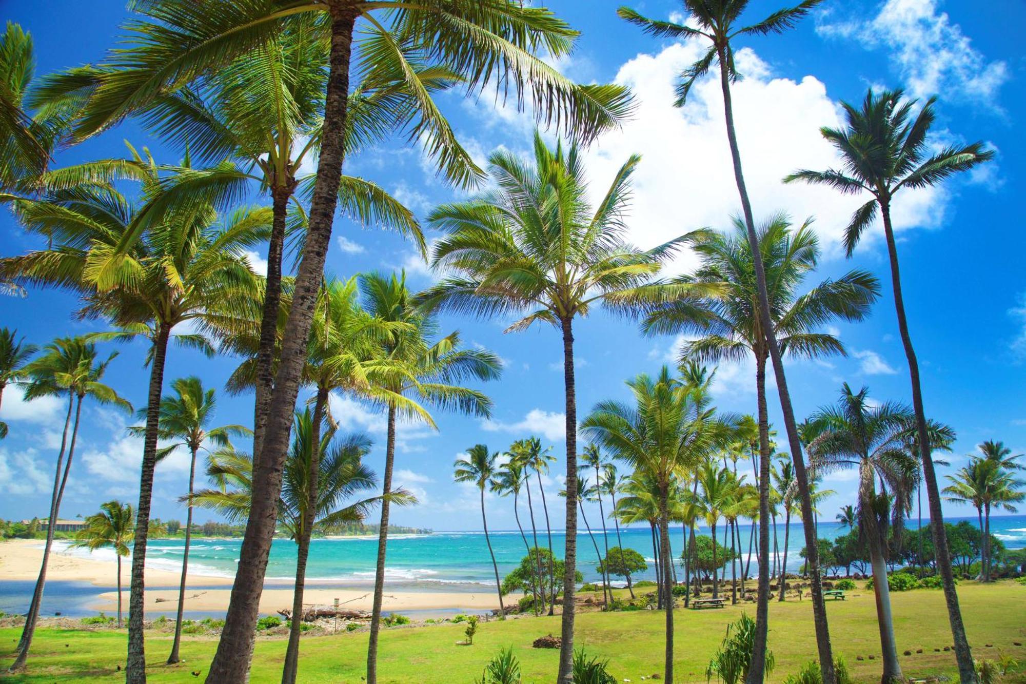 Hilton Garden Inn Kauai Wailua Bay, Hi Kapa'a Dış mekan fotoğraf